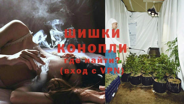 не бодяженный Бородино