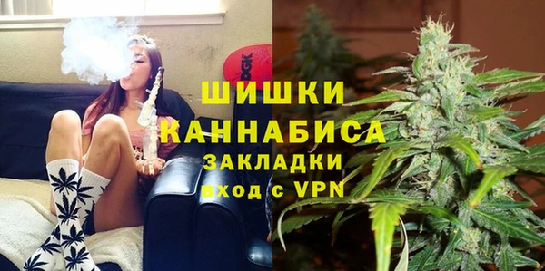 не бодяженный Бородино