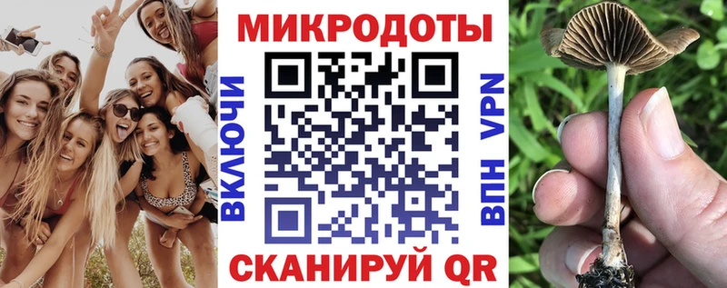 как найти наркотики  Клинцы  OMG ссылки  Псилоцибиновые грибы ЛСД 